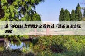 派币的注册流程图怎么看的到（派币注册步骤详解）