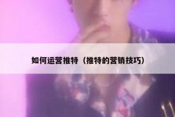 如何运营推特（推特的营销技巧）