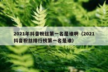 2021年抖音粉丝第一名是谁啊（2021抖音粉丝排行榜第一名是谁）