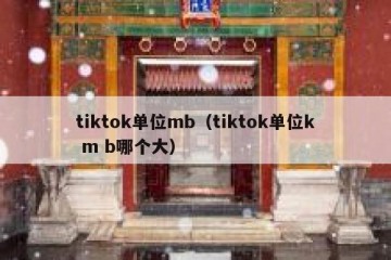 tiktok单位mb（tiktok单位k m b哪个大）