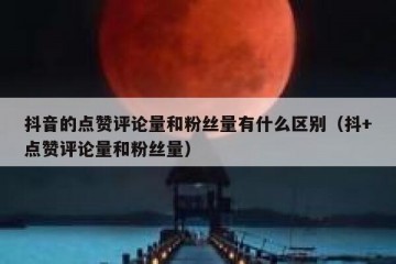 抖音的点赞评论量和粉丝量有什么区别（抖+点赞评论量和粉丝量）