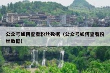 公众号如何查看粉丝数据（公众号如何查看粉丝数据）