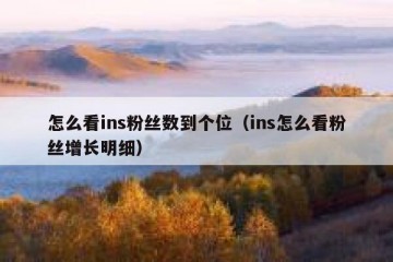 怎么看ins粉丝数到个位（ins怎么看粉丝增长明细）
