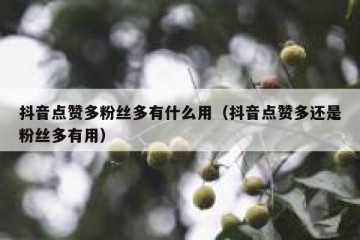 抖音点赞多粉丝多有什么用（抖音点赞多还是粉丝多有用）