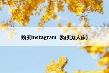 购买instagram（购买双人床）
