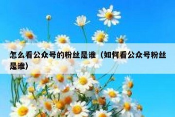 怎么看公众号的粉丝是谁（如何看公众号粉丝是谁）