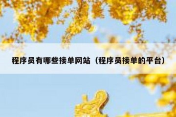 程序员有哪些接单网站（程序员接单的平台）