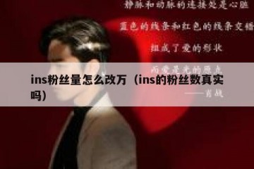 ins粉丝量怎么改万（ins的粉丝数真实吗）