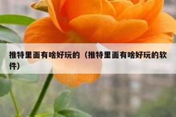推特里面有啥好玩的（推特里面有啥好玩的软件）