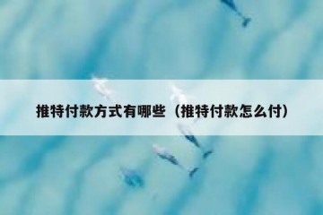推特付款方式有哪些（推特付款怎么付）