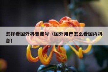 怎样看国外抖音账号（国外用户怎么看国内抖音）