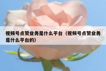 视频号点赞业务是什么平台（视频号点赞业务是什么平台的）