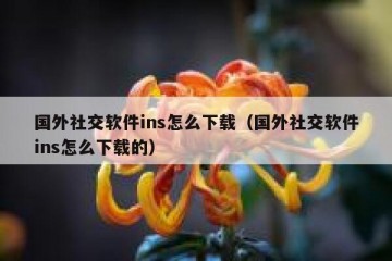 国外社交软件ins怎么下载（国外社交软件ins怎么下载的）