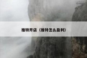 推特开店（推特怎么盈利）