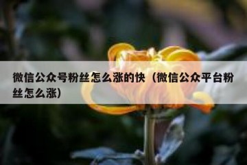 微信公众号粉丝怎么涨的快（微信公众平台粉丝怎么涨）