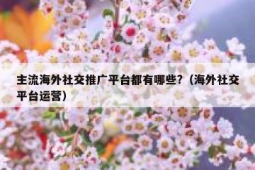 主流海外社交推广平台都有哪些?（海外社交平台运营）