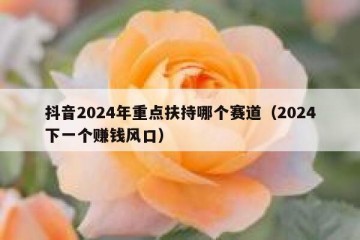 抖音2024年重点扶持哪个赛道（2024下一个赚钱风口）