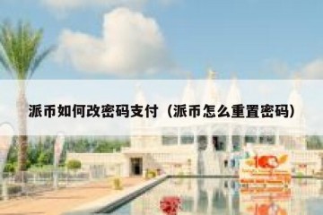 派币如何改密码支付（派币怎么重置密码）