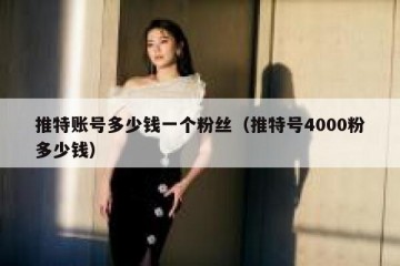 推特账号多少钱一个粉丝（推特号4000粉多少钱）