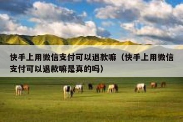 快手上用微信支付可以退款嘛（快手上用微信支付可以退款嘛是真的吗）