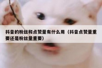 抖音的粉丝和点赞量有什么用（抖音点赞量重要还是粉丝量重要）