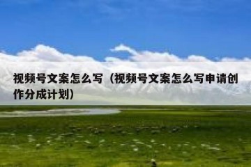 视频号文案怎么写（视频号文案怎么写申请创作分成计划）