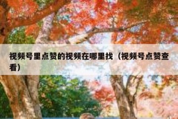 视频号里点赞的视频在哪里找（视频号点赞查看）