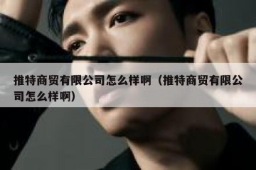 推特商贸有限公司怎么样啊（推特商贸有限公司怎么样啊）