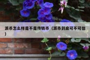 派币怎么样是不是传销币（派币到底可不可信）