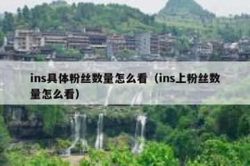 ins具体粉丝数量怎么看（ins上粉丝数量怎么看）