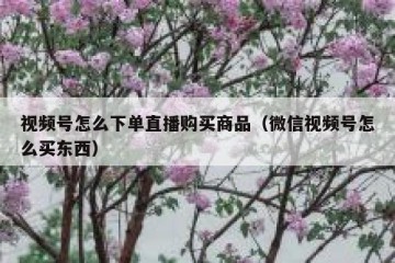 视频号怎么下单直播购买商品（微信视频号怎么买东西）