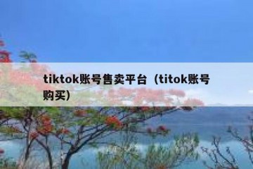 tiktok账号售卖平台（titok账号购买）