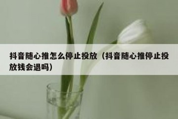 抖音随心推怎么停止投放（抖音随心推停止投放钱会退吗）
