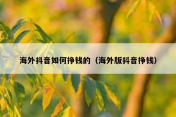 海外抖音如何挣钱的（海外版抖音挣钱）