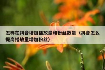 怎样在抖音增加播放量和粉丝数量（抖音怎么提高播放量增加粉丝）