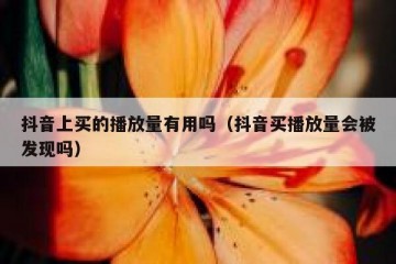 抖音上买的播放量有用吗（抖音买播放量会被发现吗）