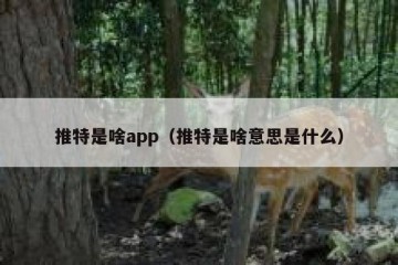 推特是啥app（推特是啥意思是什么）