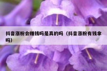 抖音涨粉会赚钱吗是真的吗（抖音涨粉有钱拿吗）
