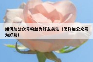 如何加公众号粉丝为好友关注（怎样加公众号为好友）