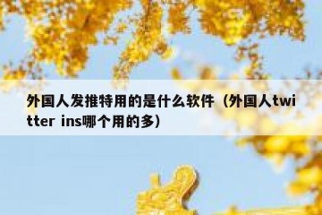 外国人发推特用的是什么软件（外国人twitter ins哪个用的多）