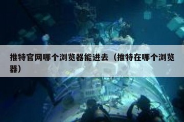 推特官网哪个浏览器能进去（推特在哪个浏览器）