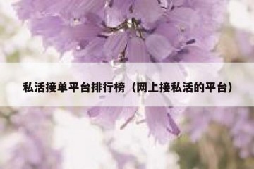 私活接单平台排行榜（网上接私活的平台）