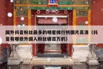 国外抖音粉丝最多的明星排行榜图片高清（抖音有哪些外国人粉丝破百万的）