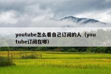 youtube怎么看自己订阅的人（youtube订阅在哪）