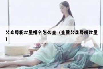 公众号粉丝量排名怎么查（查看公众号粉丝量）
