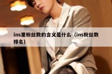 ins里粉丝数的含义是什么（ins粉丝数排名）