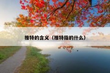 推特的含义（推特指的什么）