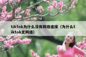 tiktok为什么没有网络连接（为什么tiktok无网络）