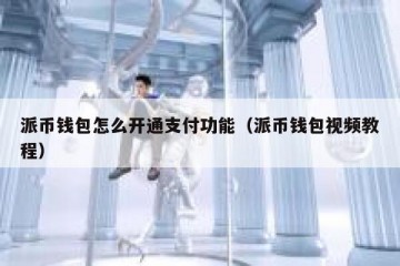 派币钱包怎么开通支付功能（派币钱包视频教程）