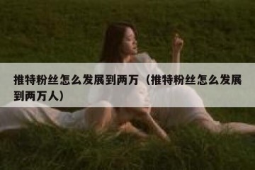 推特粉丝怎么发展到两万（推特粉丝怎么发展到两万人）